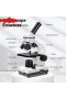 Compound Microscope with Microscope Slide Set, Cell Phone Adapter